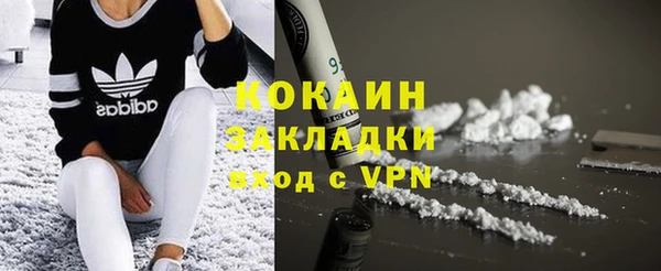 индика Новозыбков