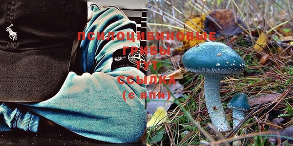 дурь Алексин